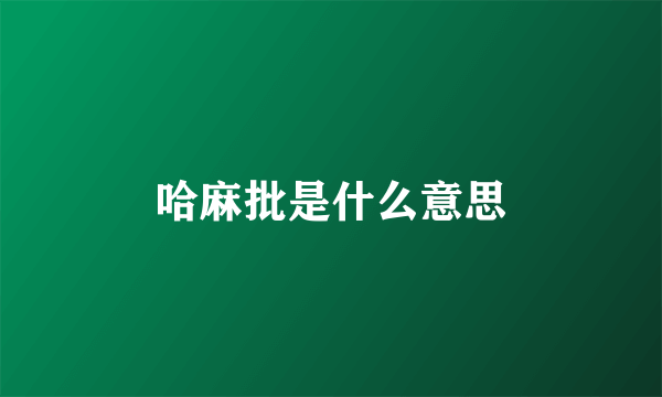 哈麻批是什么意思