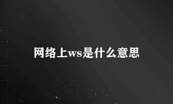 网络上ws是什么意思