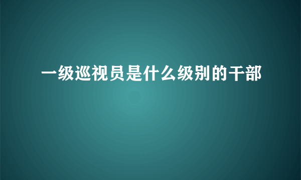 一级巡视员是什么级别的干部