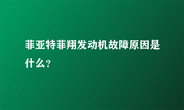 菲亚特菲翔发动机故障原因是什么？