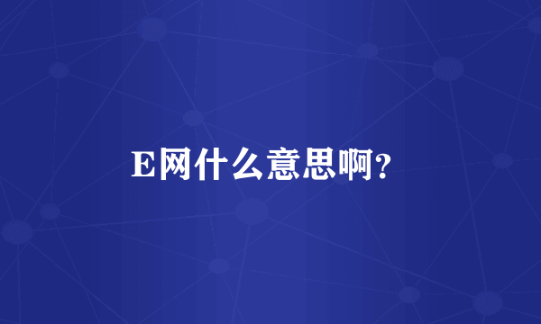 E网什么意思啊？