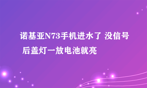 诺基亚N73手机进水了 没信号 后盖灯一放电池就亮