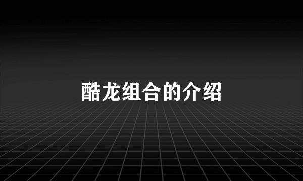 酷龙组合的介绍