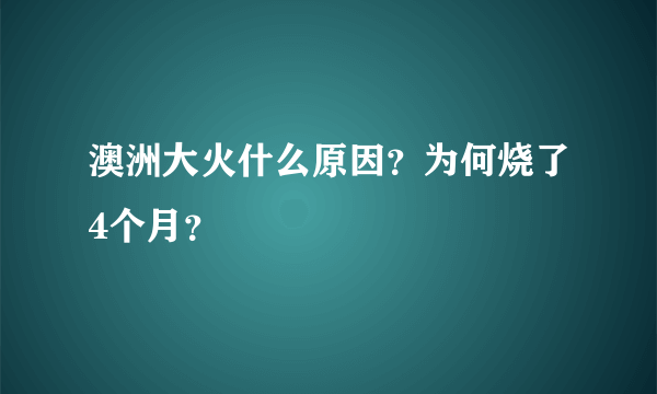 澳洲大火什么原因？为何烧了4个月？