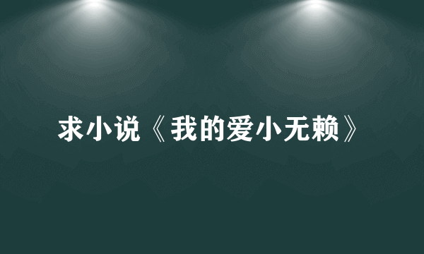 求小说《我的爱小无赖》