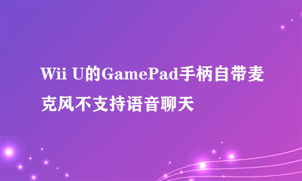 Wii U的GamePad手柄自带麦克风不支持语音聊天