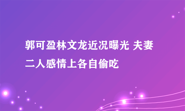 郭可盈林文龙近况曝光 夫妻二人感情上各自偷吃