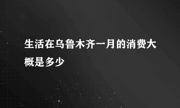 生活在乌鲁木齐一月的消费大概是多少