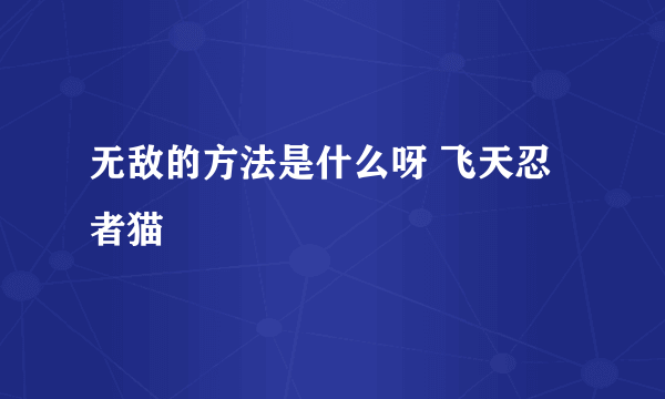 无敌的方法是什么呀 飞天忍者猫