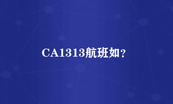 CA1313航班如？