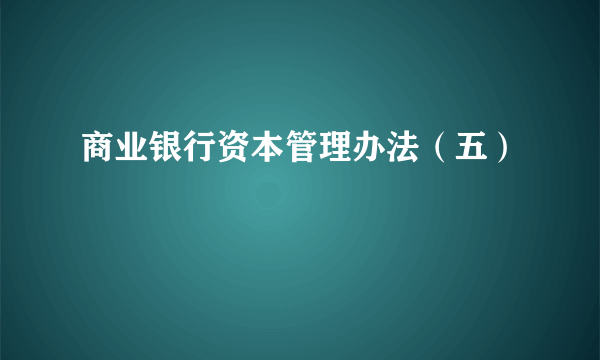 商业银行资本管理办法（五）