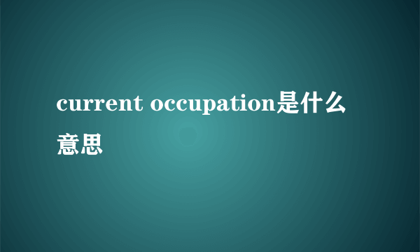 current occupation是什么意思