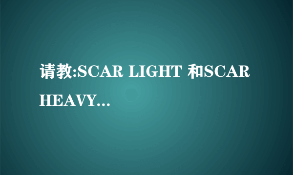 请教:SCAR LIGHT 和SCAR HEAVY有神马区别?哪个更好用???