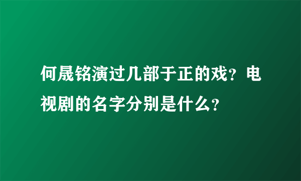 何晟铭演过几部于正的戏？电视剧的名字分别是什么？