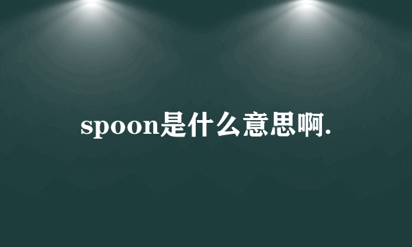 spoon是什么意思啊.