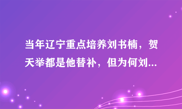 当年辽宁重点培养刘书楠，贺天举都是他替补，但为何刘书楠选择离开辽宁，如今无球可打？