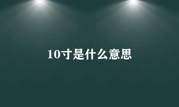 10寸是什么意思