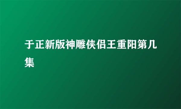 于正新版神雕侠侣王重阳第几集