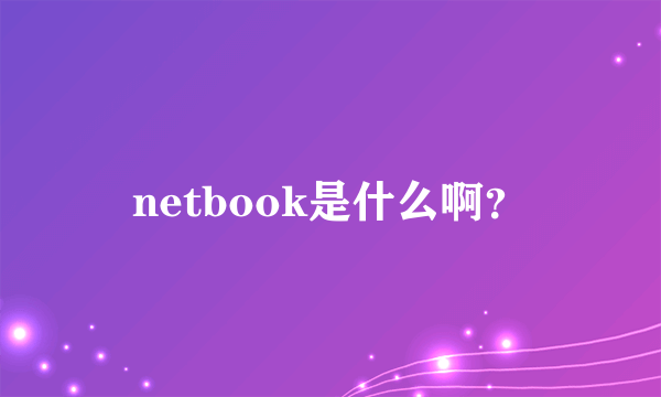 netbook是什么啊？