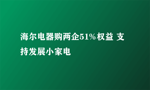 海尔电器购两企51%权益 支持发展小家电