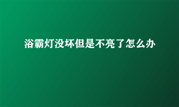 浴霸灯没坏但是不亮了怎么办