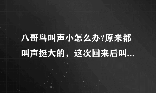 八哥鸟叫声小怎么办?原来都叫声挺大的，这次回来后叫声就小了好多!像蚊子一样？