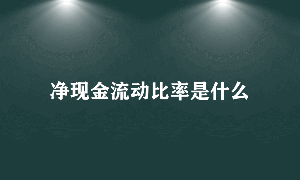 净现金流动比率是什么