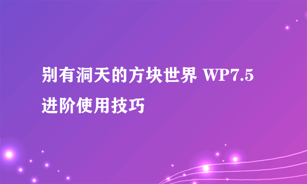 别有洞天的方块世界 WP7.5进阶使用技巧