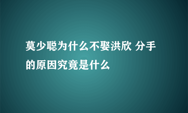 莫少聪为什么不娶洪欣 分手的原因究竟是什么