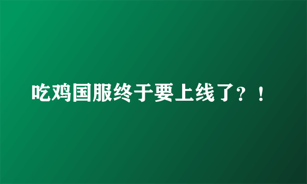 吃鸡国服终于要上线了？！