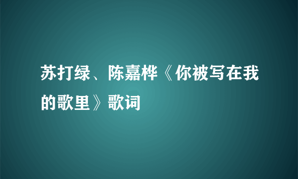 苏打绿、陈嘉桦《你被写在我的歌里》歌词