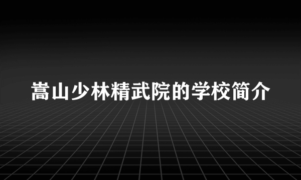 嵩山少林精武院的学校简介