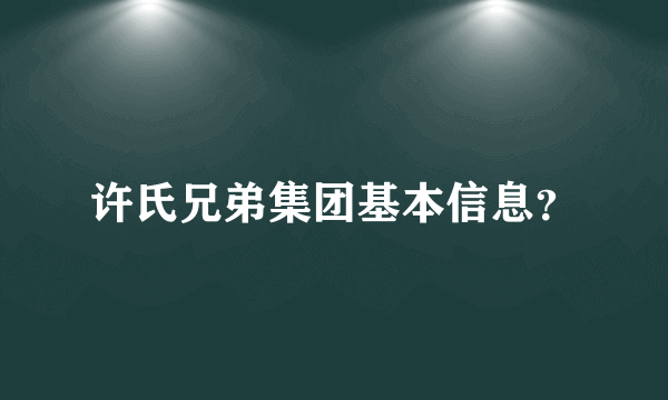 许氏兄弟集团基本信息？