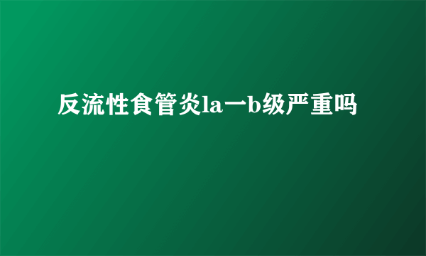 反流性食管炎la一b级严重吗