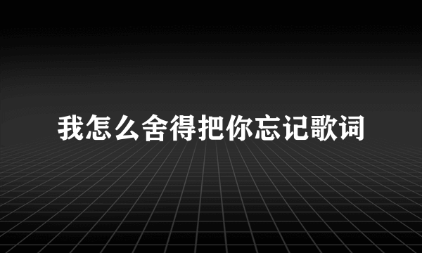 我怎么舍得把你忘记歌词