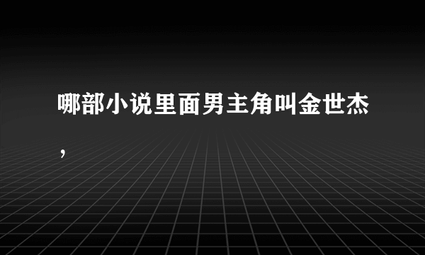 哪部小说里面男主角叫金世杰，