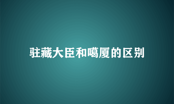 驻藏大臣和噶厦的区别