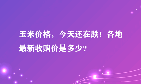 玉米价格，今天还在跌！各地最新收购价是多少？