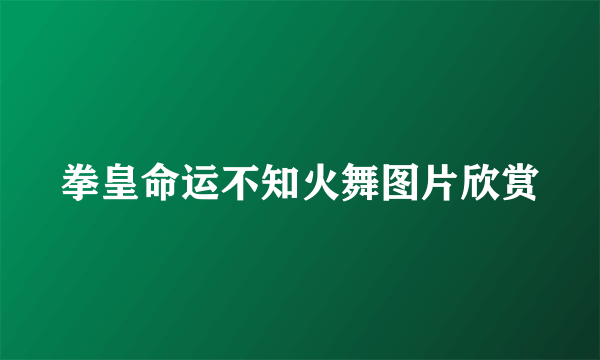 拳皇命运不知火舞图片欣赏