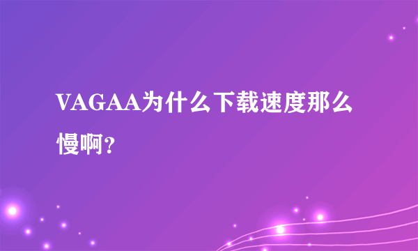 VAGAA为什么下载速度那么慢啊？