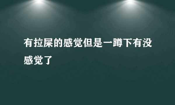 有拉屎的感觉但是一蹲下有没感觉了