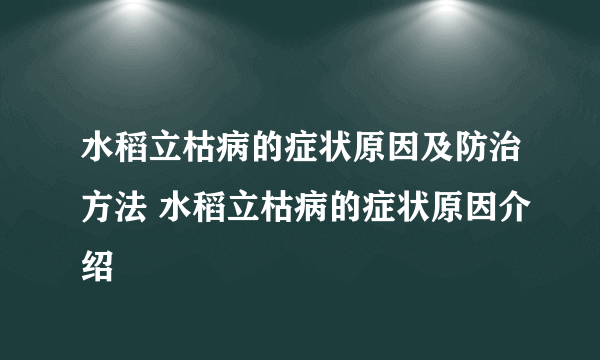 水稻立枯病的症状原因及防治方法 水稻立枯病的症状原因介绍