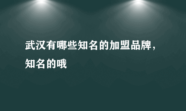 武汉有哪些知名的加盟品牌，知名的哦