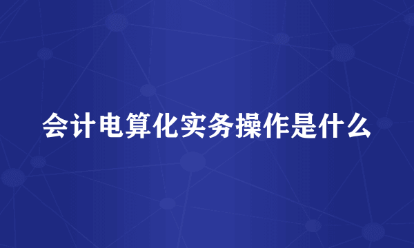 会计电算化实务操作是什么