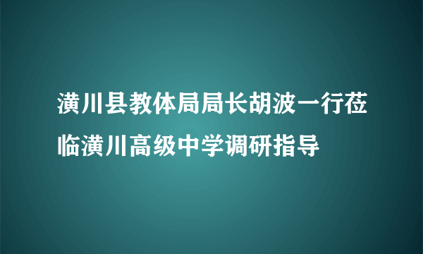 潢川县教体局局长胡波一行莅临潢川高级中学调研指导