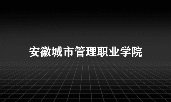 安徽城市管理职业学院