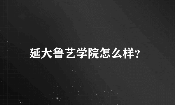 延大鲁艺学院怎么样？