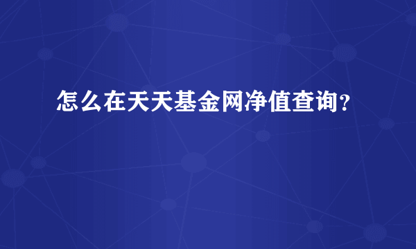 怎么在天天基金网净值查询？