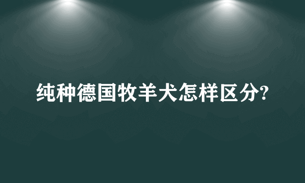 纯种德国牧羊犬怎样区分?