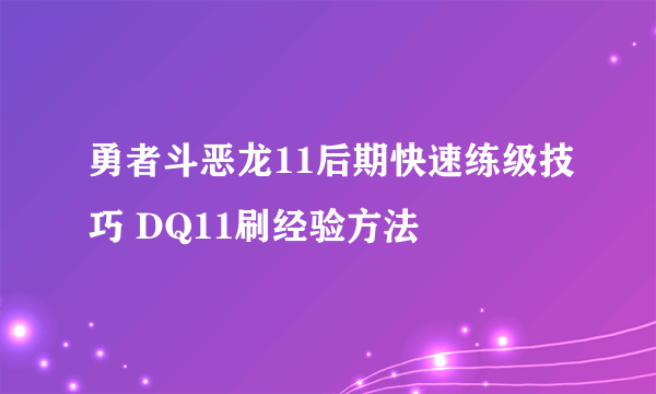 勇者斗恶龙11后期快速练级技巧 DQ11刷经验方法